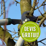 Devis en élagage d’arbre gratuit